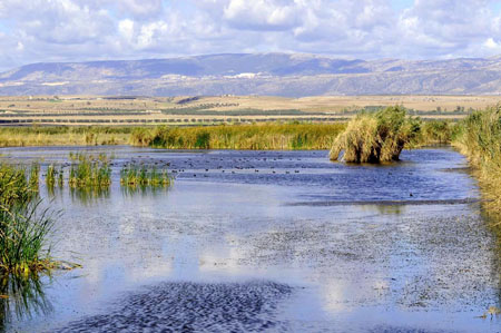 Oasi Lago Salso